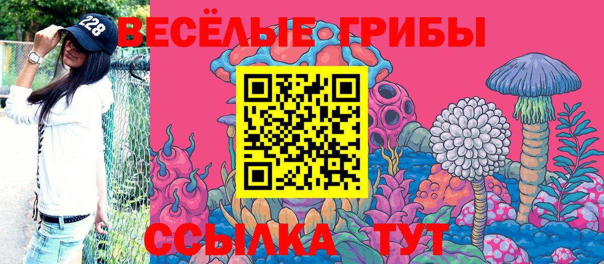 Лосино-Петровский  Псилоцибиновые грибы прущие грибы  Вход с VPN 