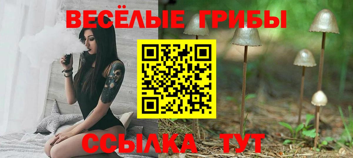 Псилоцибиновые грибы Psilocybine cubensis Лосино-Петровский
